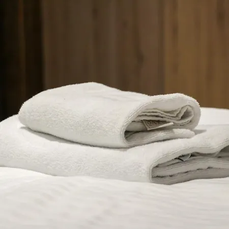 Aparmani Sorak Kopaonik, A5 Lägenhet